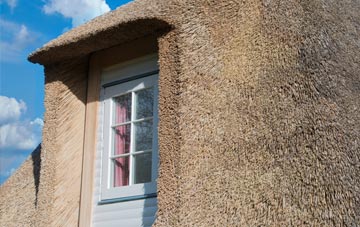 Lower Roadwater thatch roof disadvantages