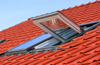 Lower Roadwater roof window